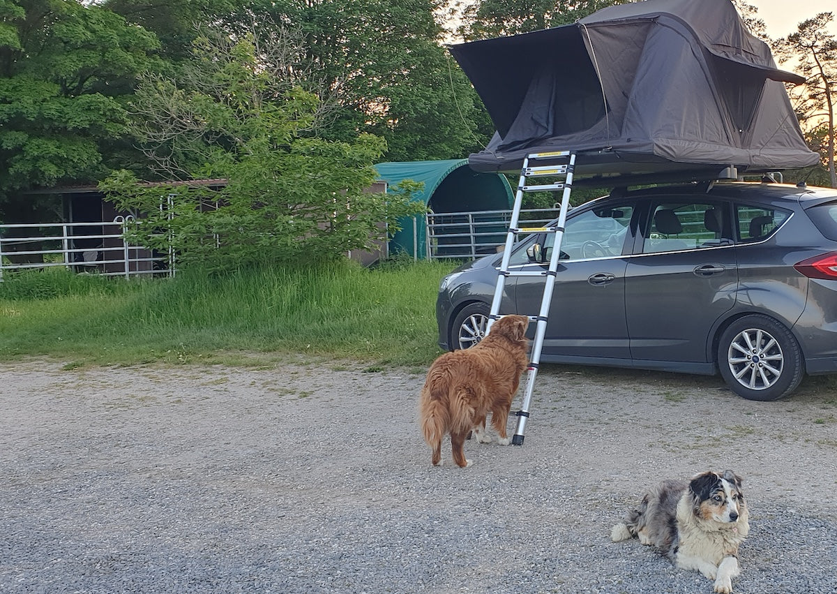 Taking Your Dog Camping with a Rooftop Tent: The Ultimate Guide